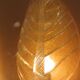Pair of Murano glass wall lights, Toso