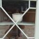 Vintage English corner display cabinet enhanced in grey-green with a wooden top.