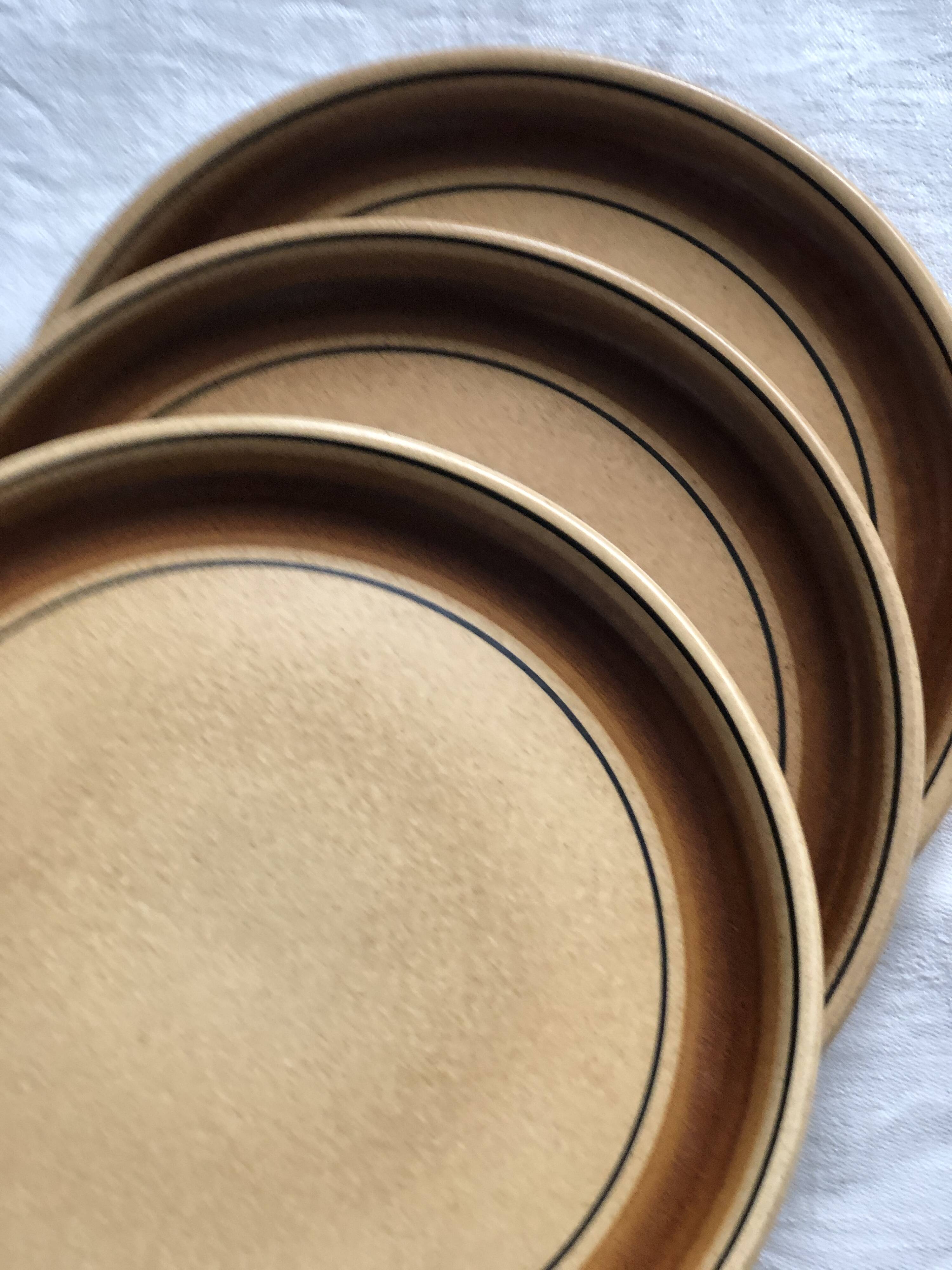 Salins stoneware dinner plates