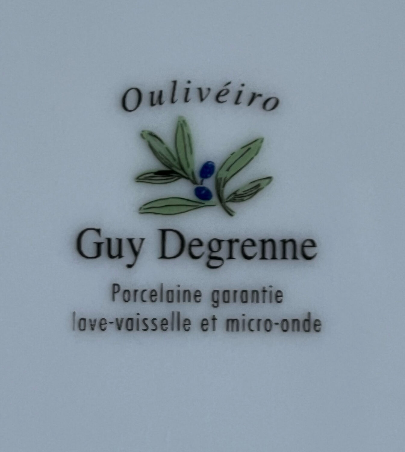 8 plates ceuses Guy Degrenne