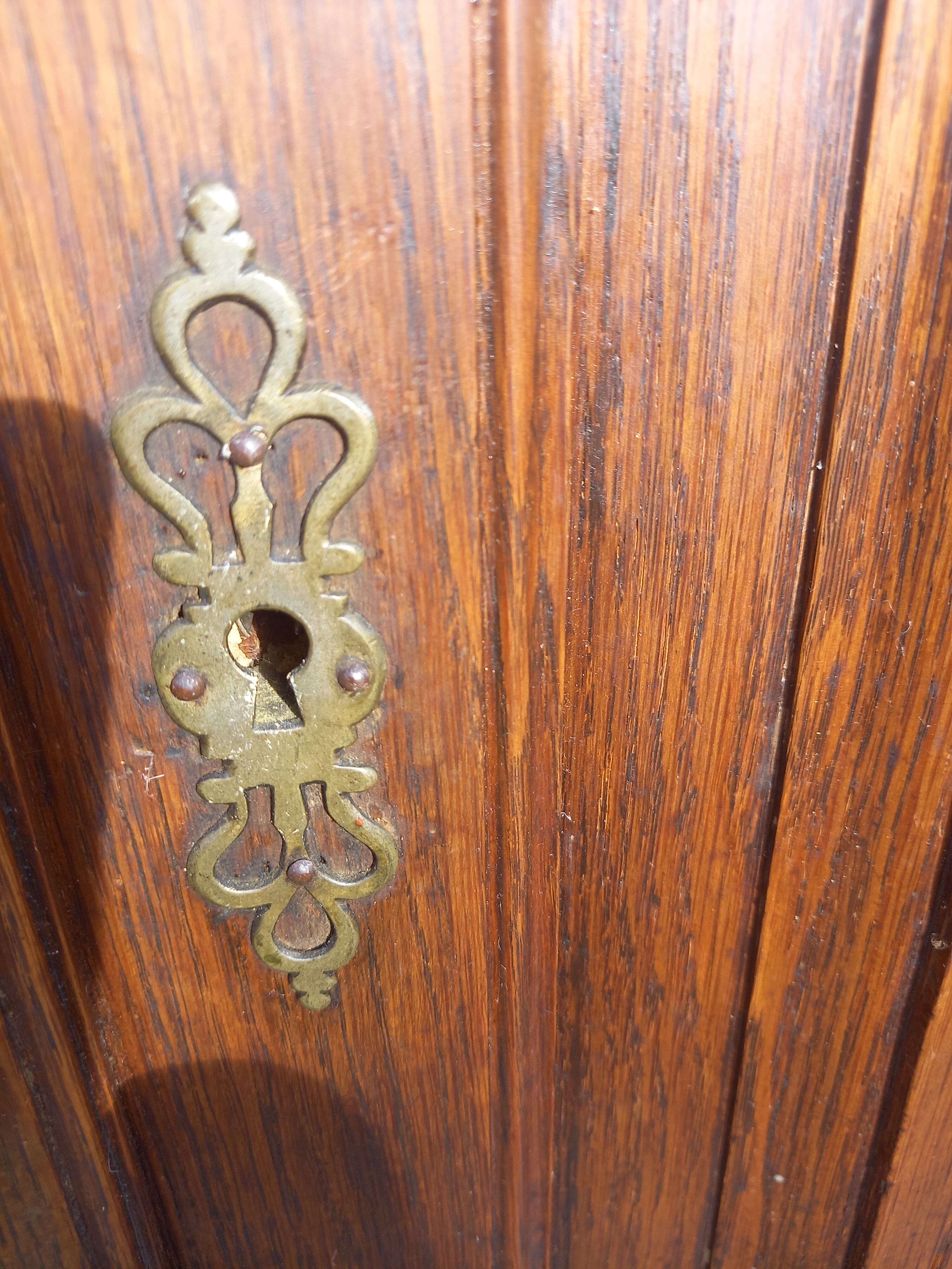 Paire de portes d'armoire en chêne