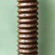 Column, carved walnut press screw, 19th century