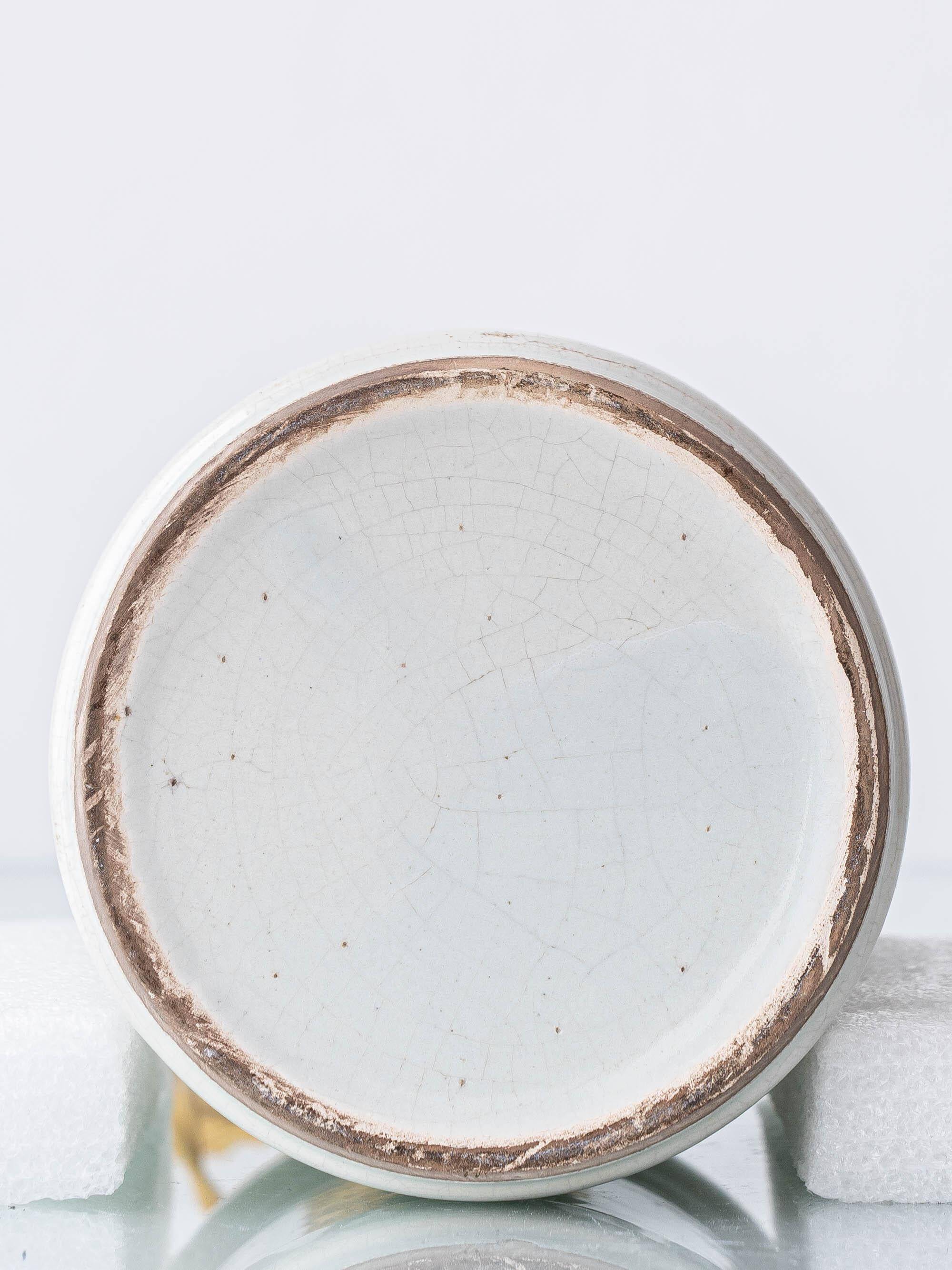 Italian apothecary potiche table lamp Albarello, 19th-century Renaissance.