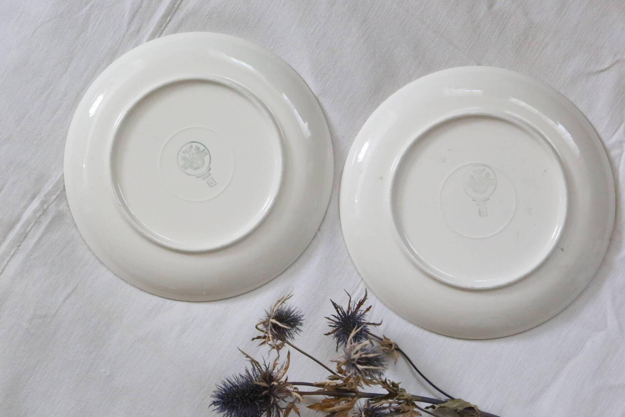 Duo of blue dessert plates, SAAR, Villeroy and Boch model, vintage