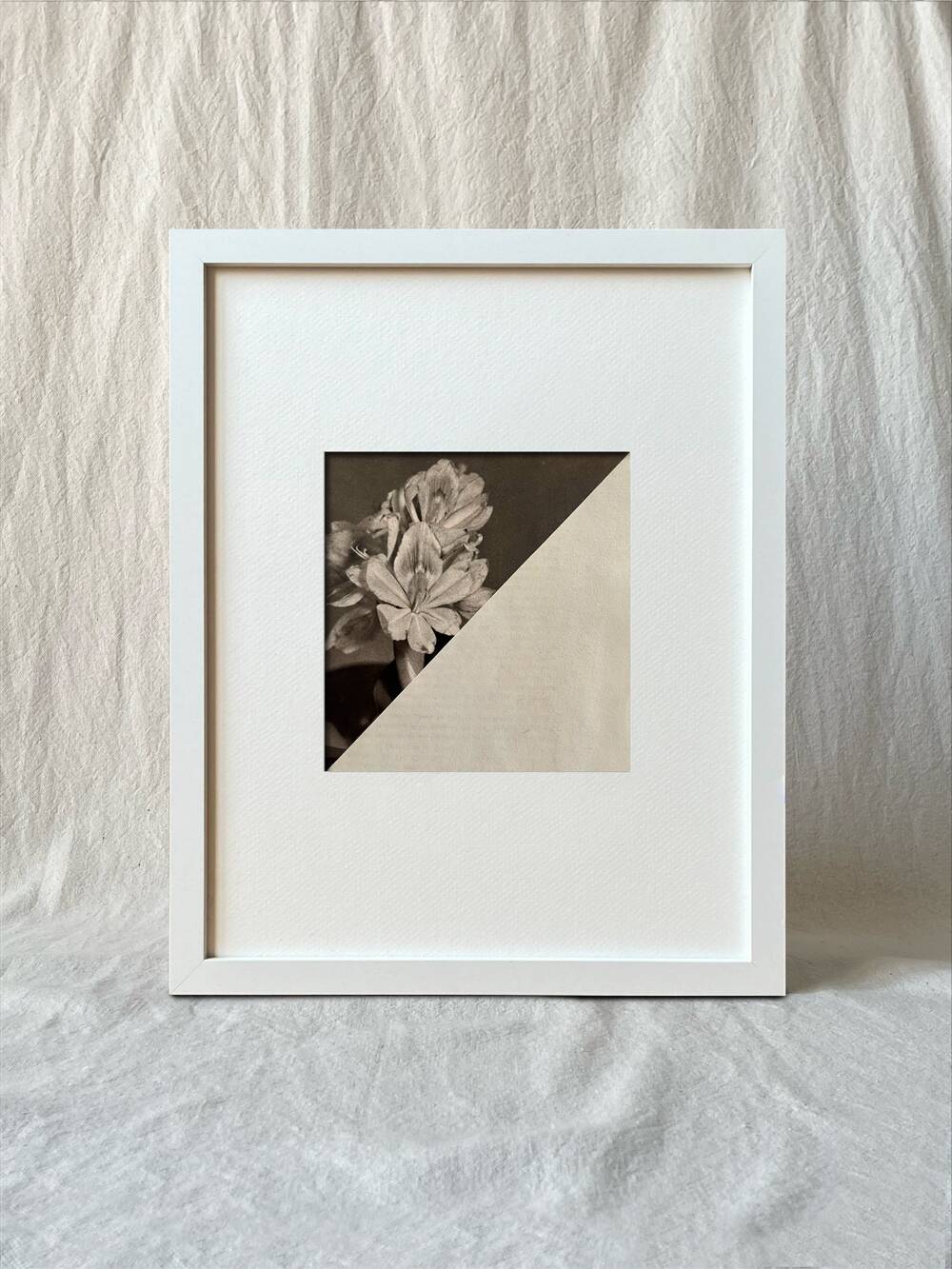 Flower in the dark - Original collage