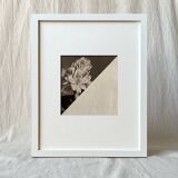 Flower in the dark - Original collage