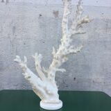 Coral branch 46 x 31 cm on alabaster marble base