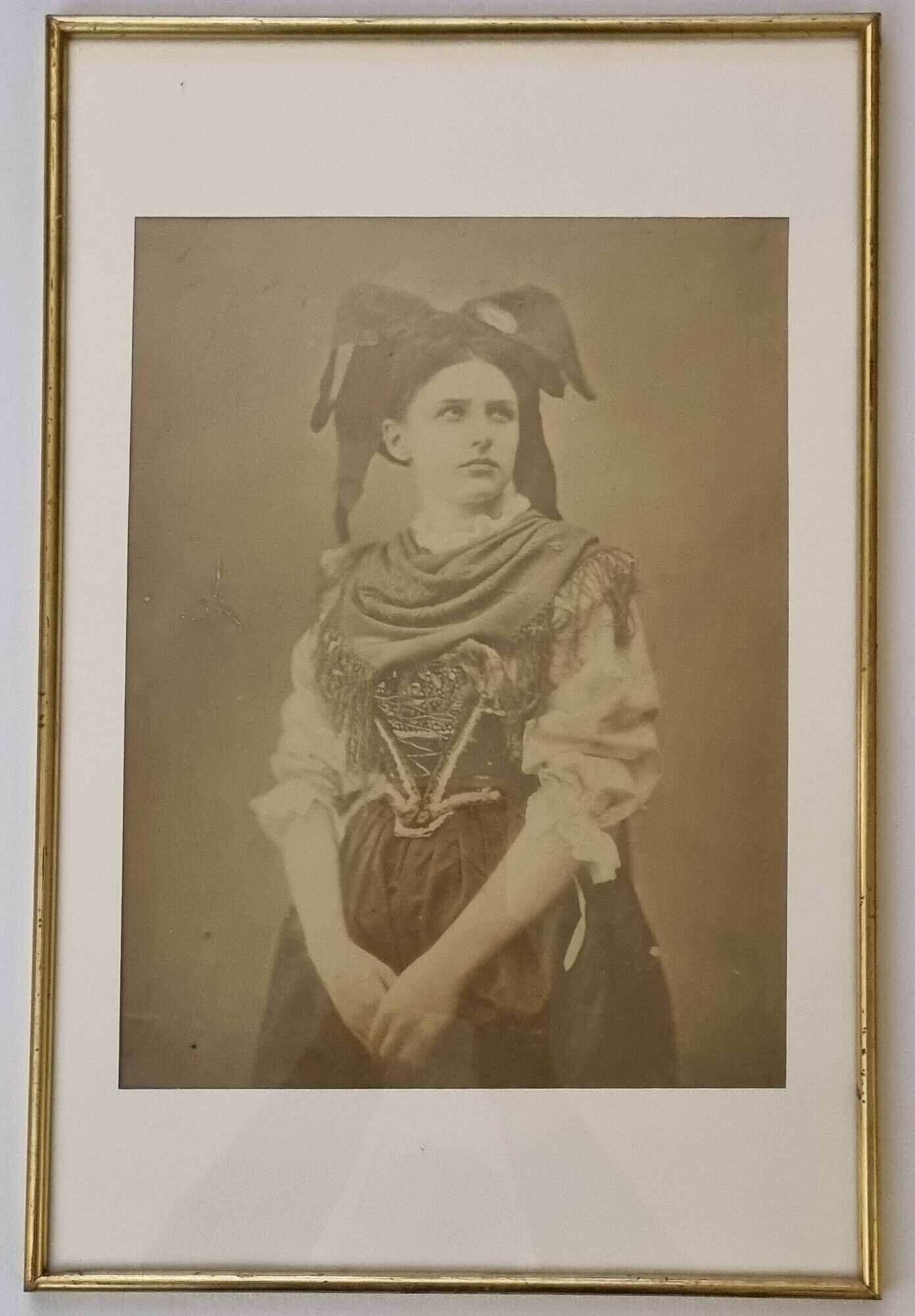 Adolphe Braun The Alsatian large albumen print framed, late 19th century