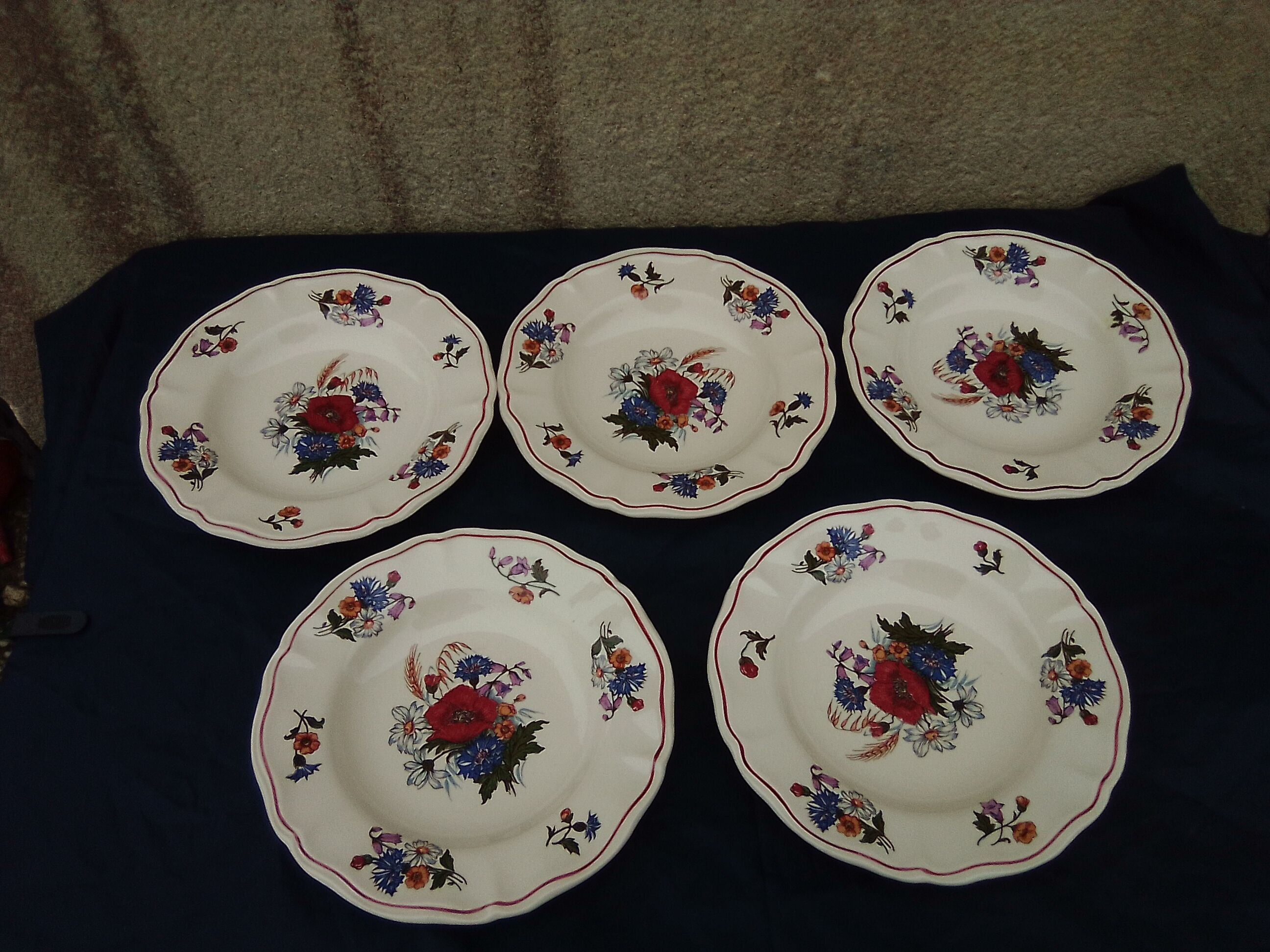 5 hollow plates in Sarreguemines earthenware model Agreste diam 22.5 cm