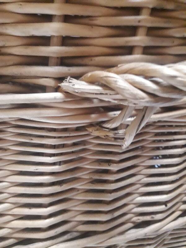 Wicker trunk L75xH53xD48 vintage