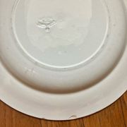 2 blue Salins Iron Earth plates