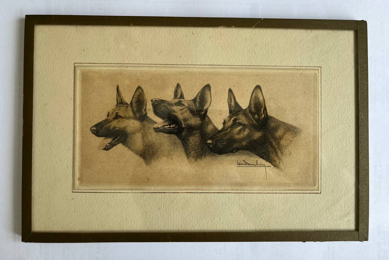 Lithograph of German Shepherds Léon Danchin