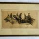 Lithograph of German Shepherds Léon Danchin