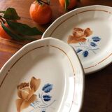 Sarreguemines earthenware ravines