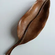 Falcon olive wood fruit bowl spain 1960