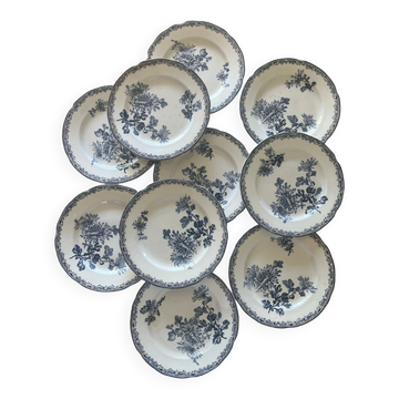 10 assiettes terre de fer