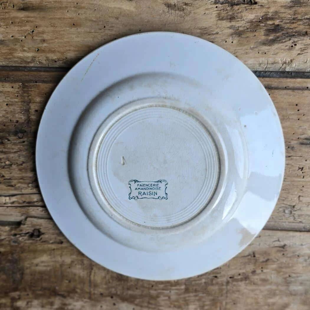 Plate plate model Grape