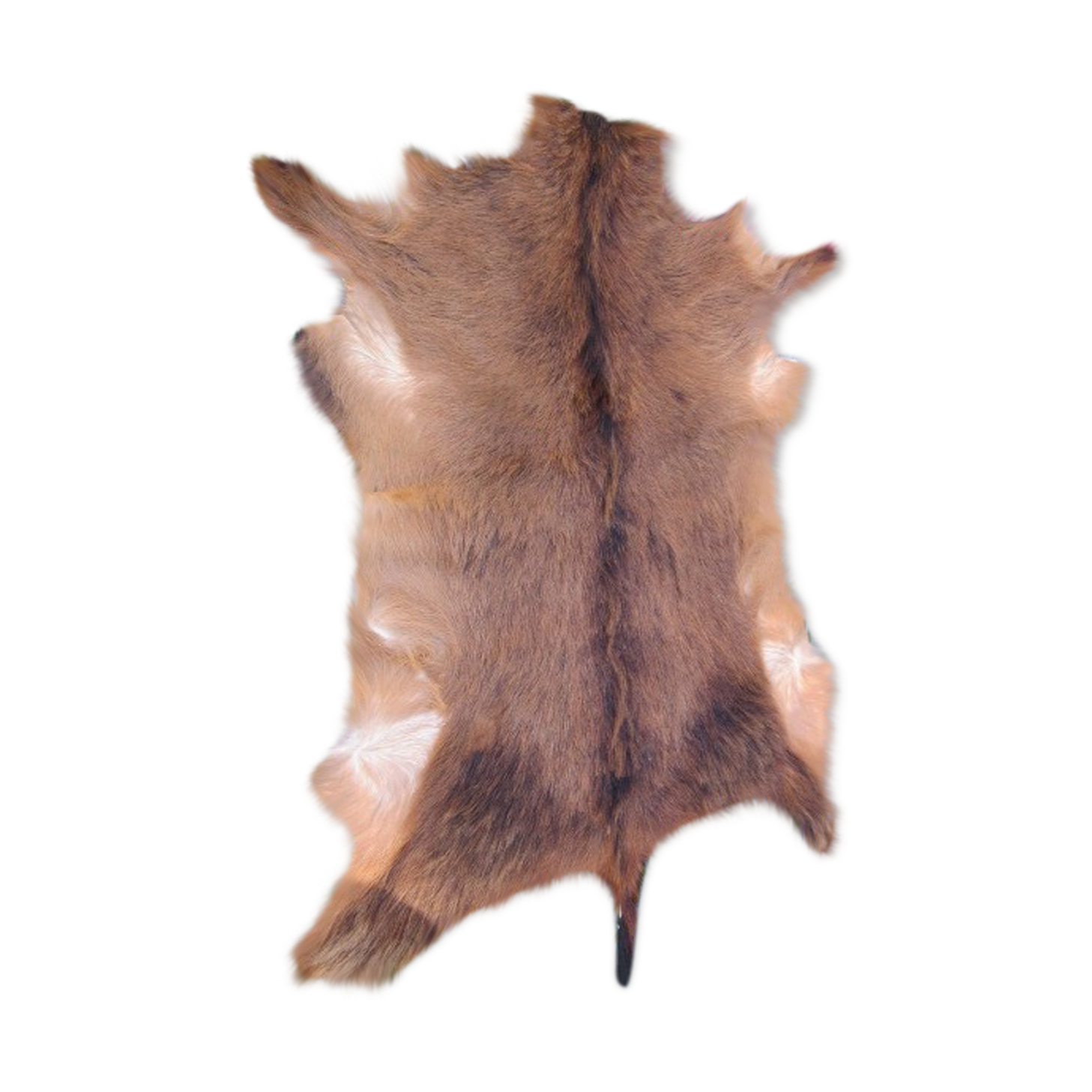 Goat skin