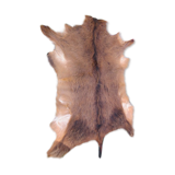 Goat skin