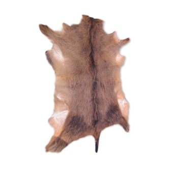 Goat skin