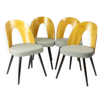 Iconic Tatra Chairs In Oak & Fabric By Antonin Suman, Czechoslovakia 1960s