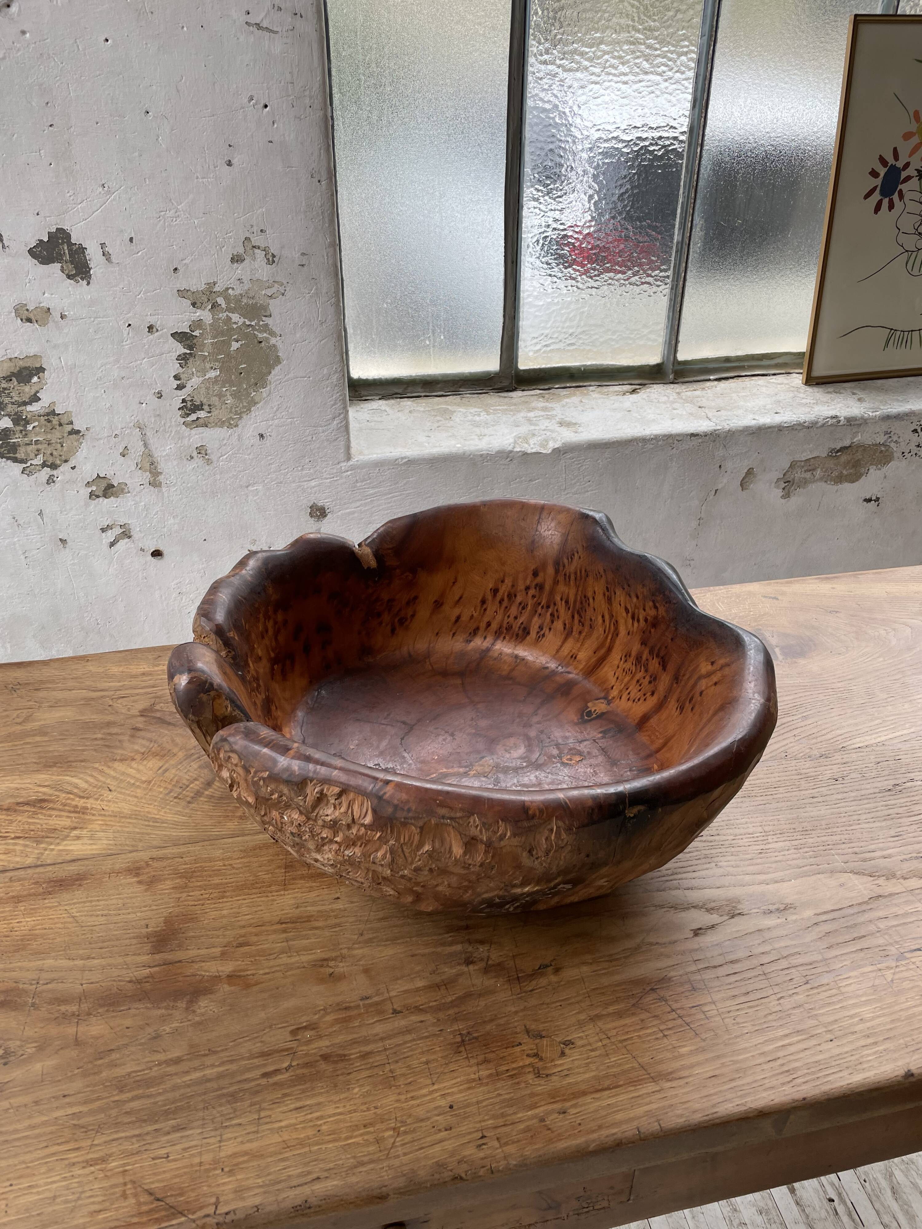 XL thuja root wooden dish