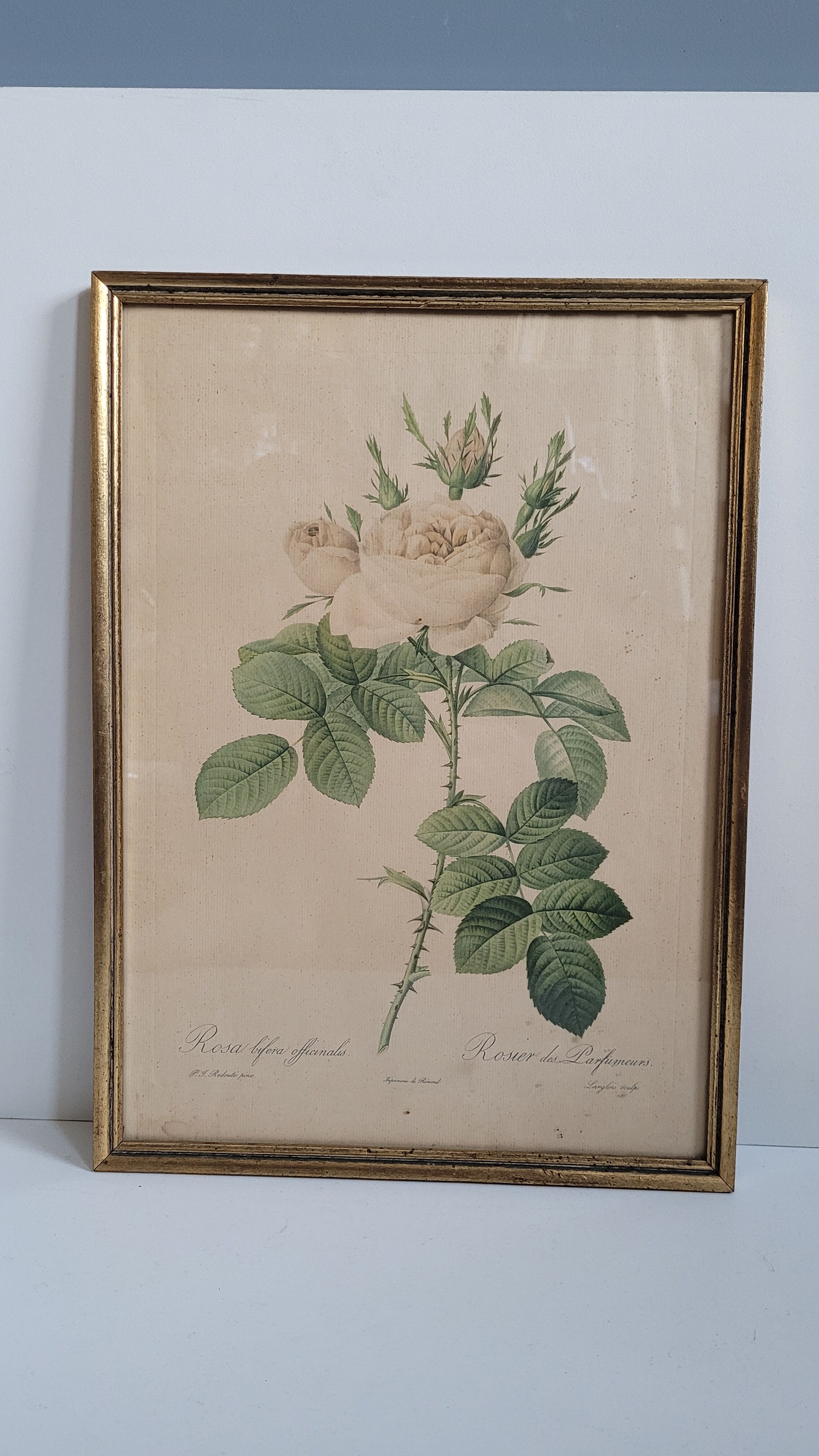 Litho rosier perfumers