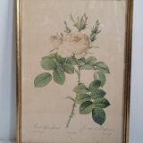 Litho rosier perfumers