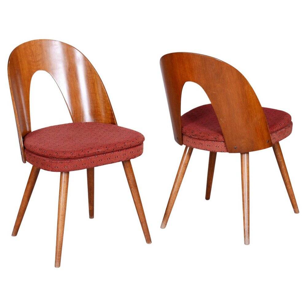 Set of Mid-Century Czech Chairs by Antonin Suman, 1950s