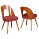 Set of Mid-Century Czech Chairs by Antonin Suman, 1950s