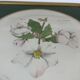 Hand-enhanced botanical plate