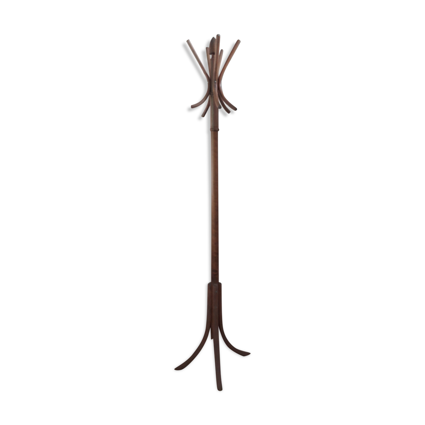 Old parrot coat holder, oak
