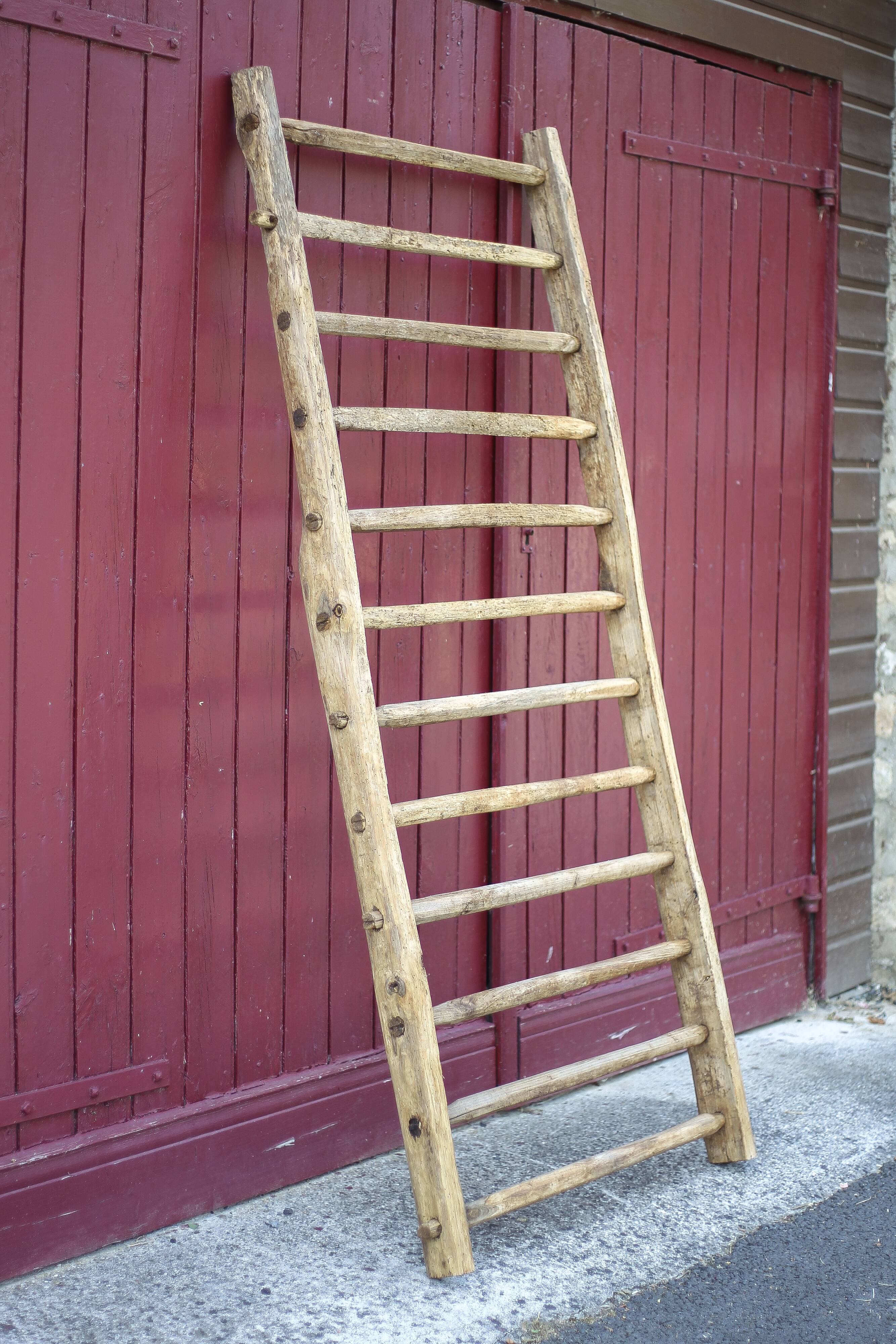 Antique vintage wooden animal fence, wall trellis, plant stand