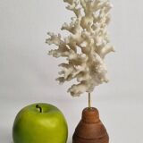 Ancien corail blanc sur socle en bois tourné, 25 cm
