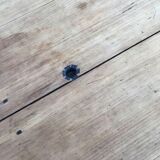 Bi-colored farm table