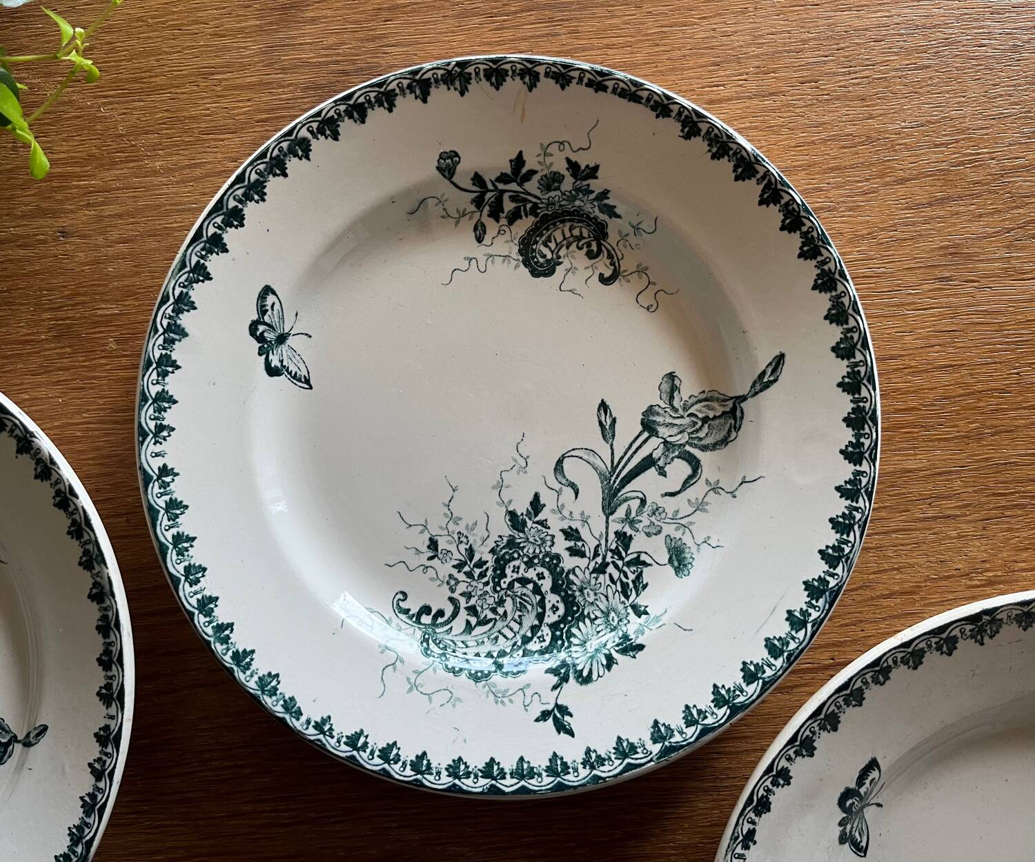 Earthenware plates - Sté Amandinoise Louis XV