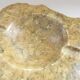Imposing vintage alabaster ashtray