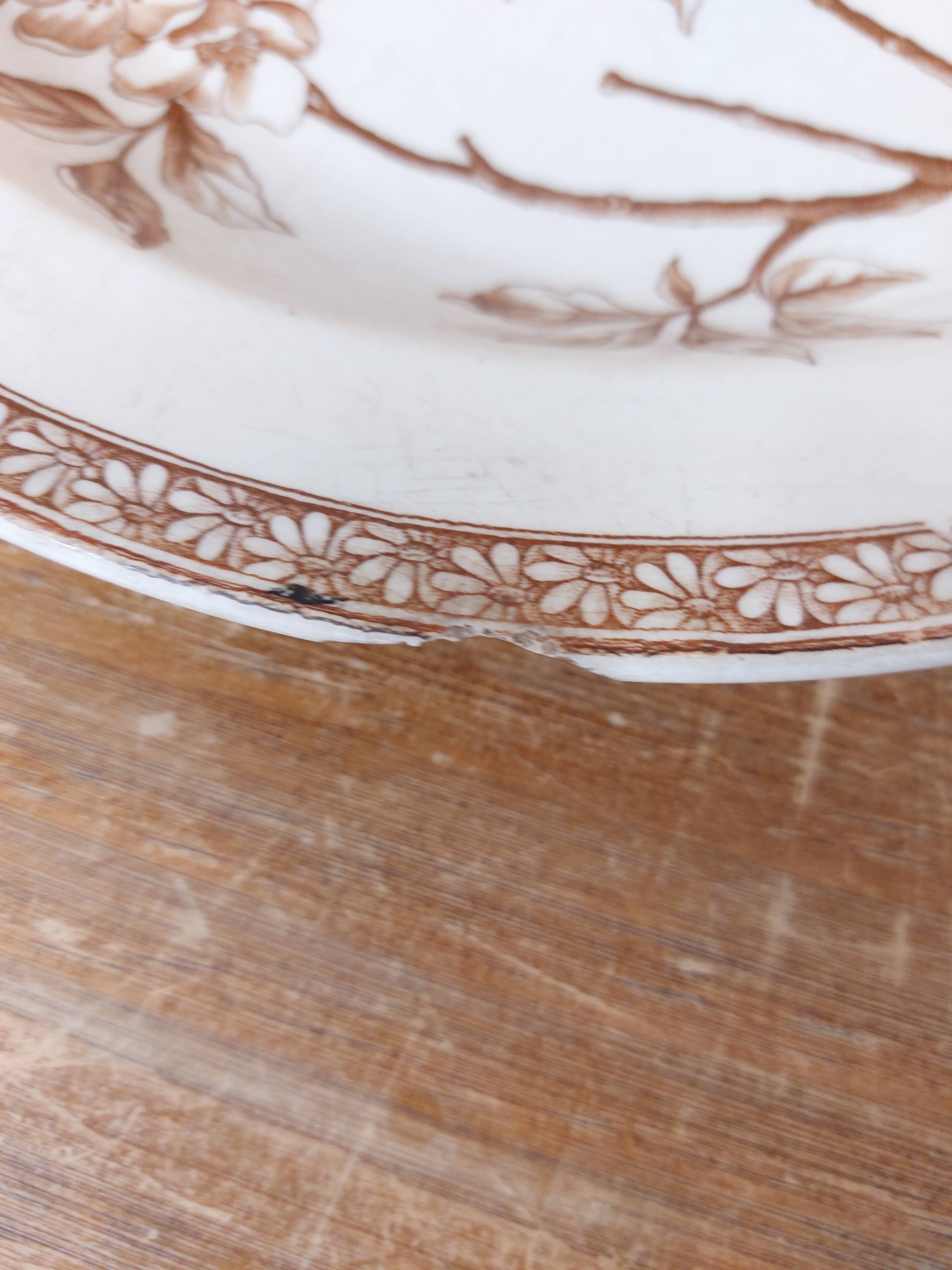 Large hollow iron earth dish daisy decor