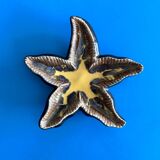 Ceramic starfish