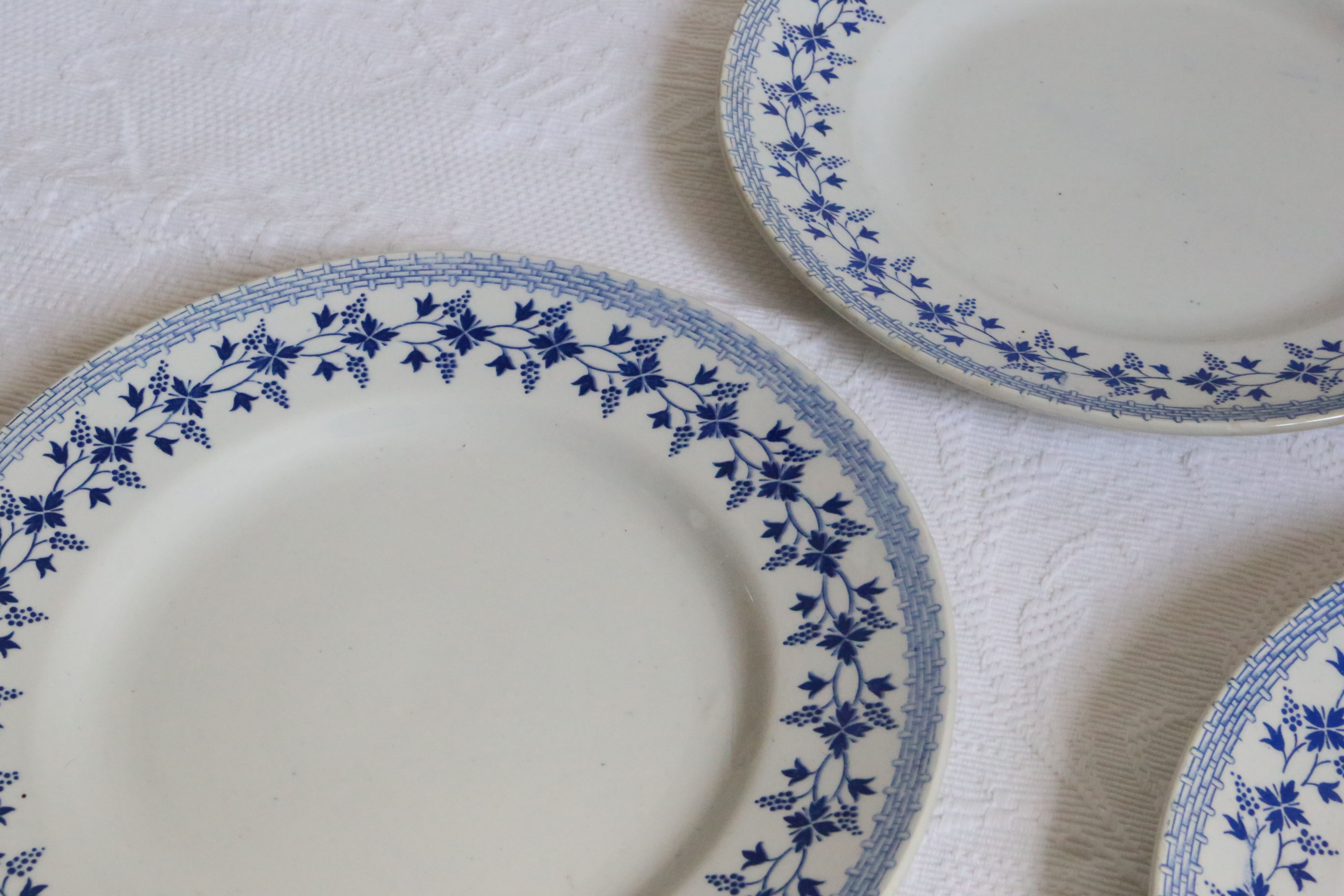 Ensemble de 9 assiettes plates, saint Amand, Bleuets, terre de fer