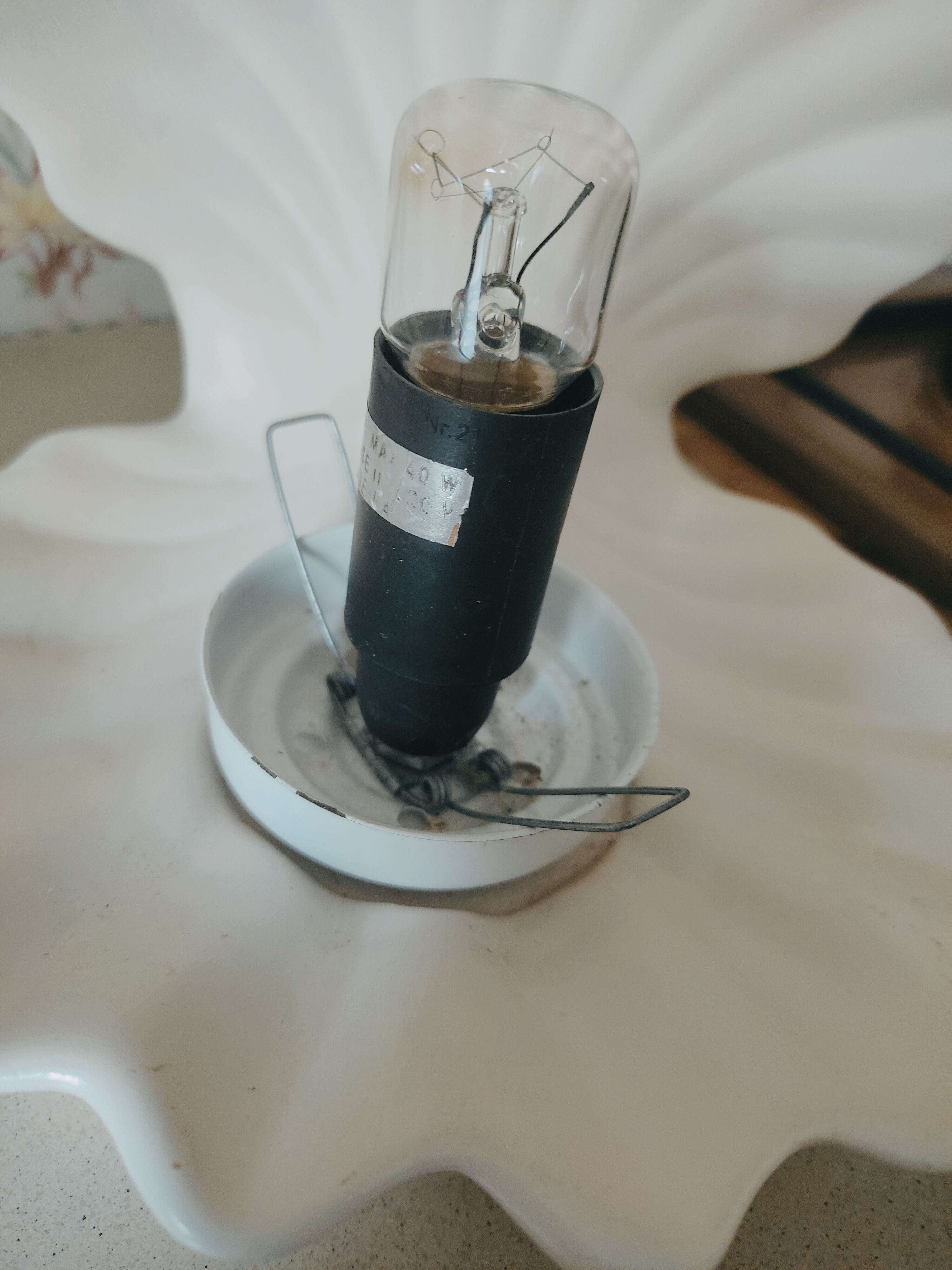 Shell and opaline lamp