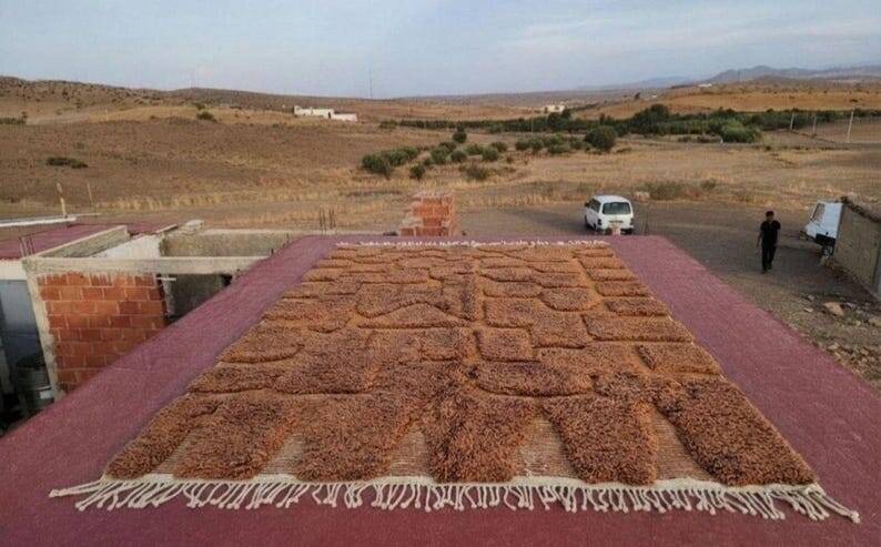 Moroccan Berber rug camel terracotta 300x200 cm – geometric pattern