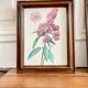 Pair of framed botanical posters