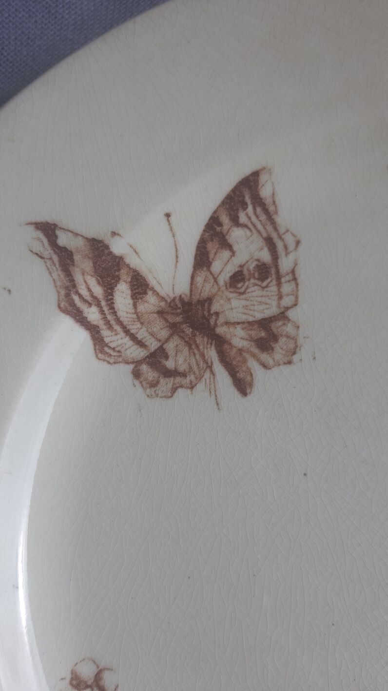 Assiette terre de fer Jules Vieillard