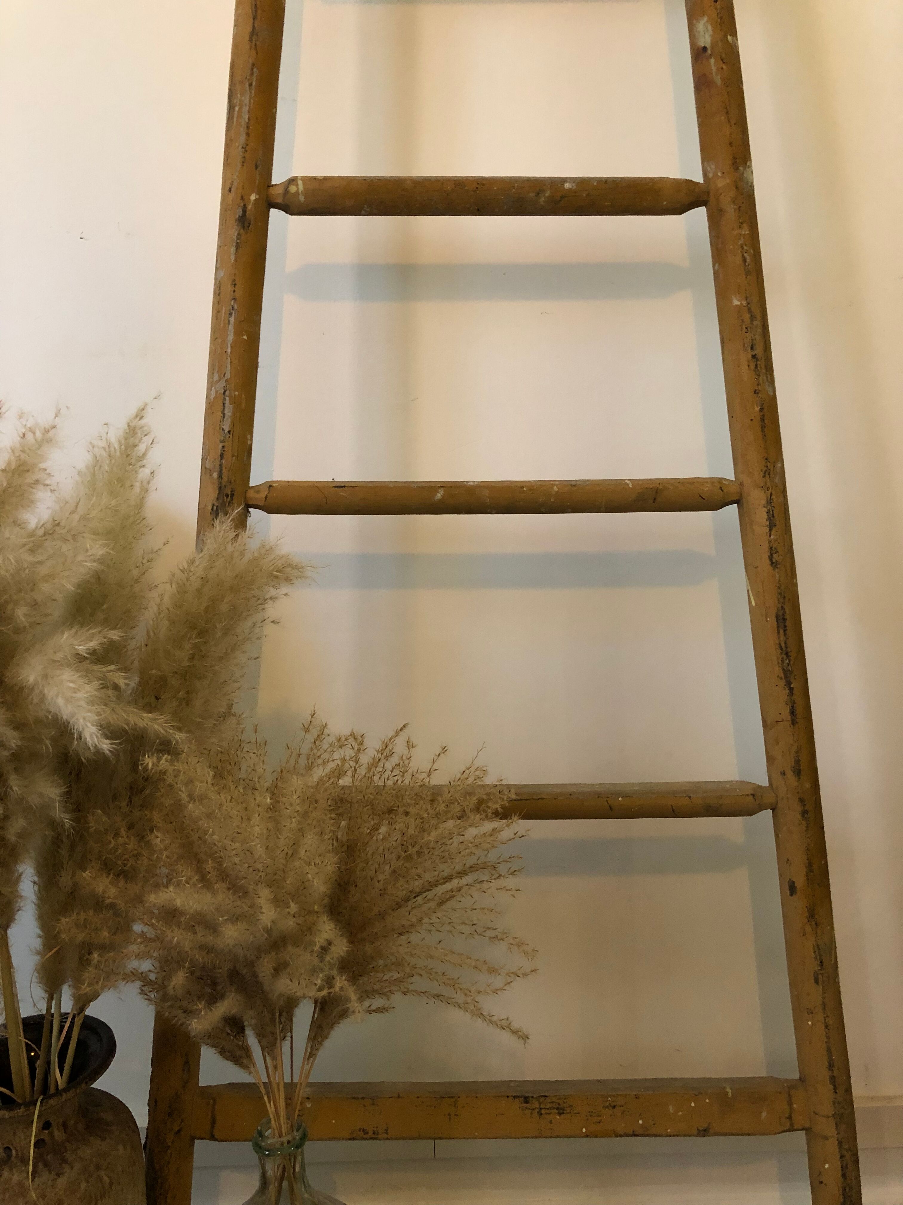 Solid wood ladder
