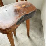 Set of 5 olive tree tripod stools from the 50s