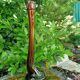 Retro bottle vase