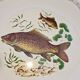 Lonchamp fish service: 12 plates and a dish
