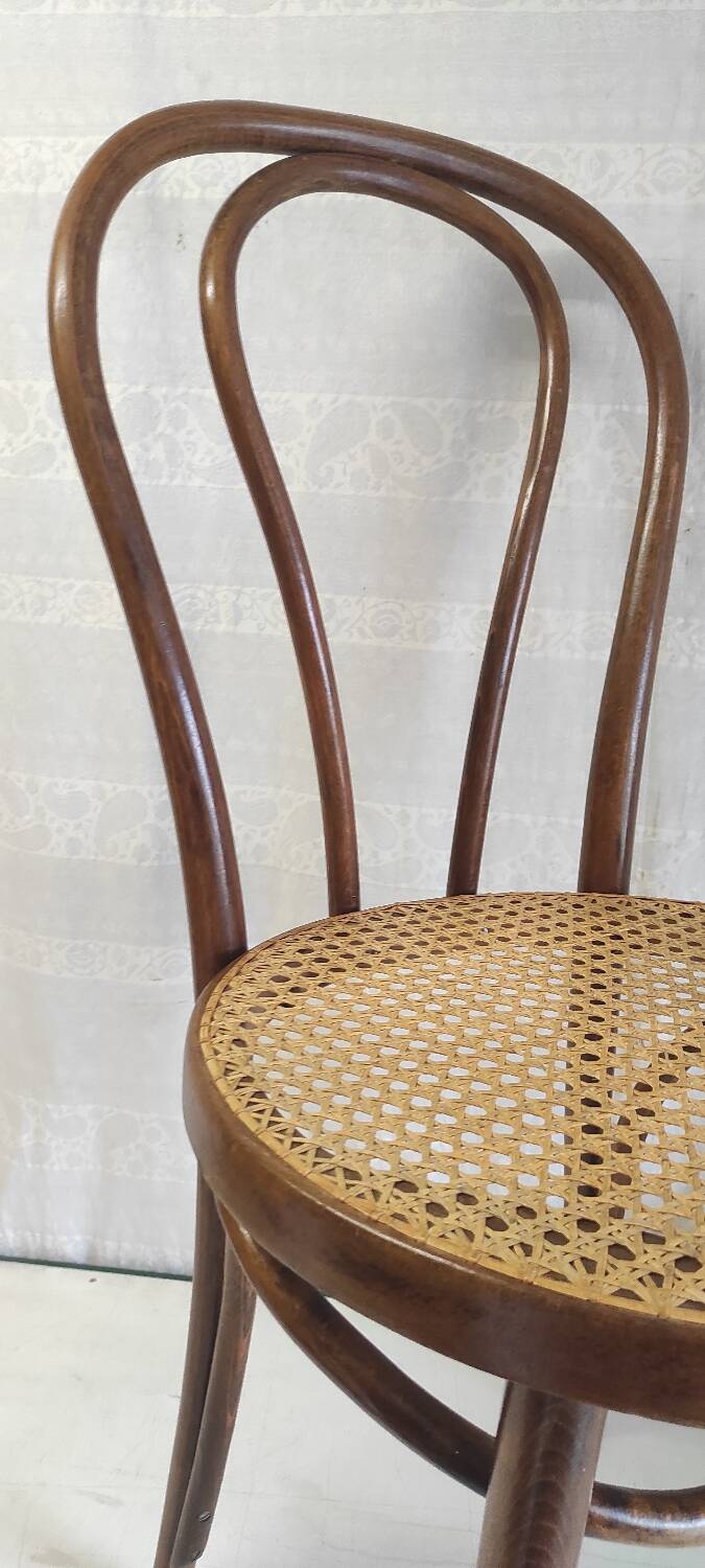 Bistro chair in bentwood and canework - mid. 20th century