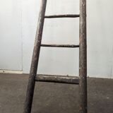Painter's ladder